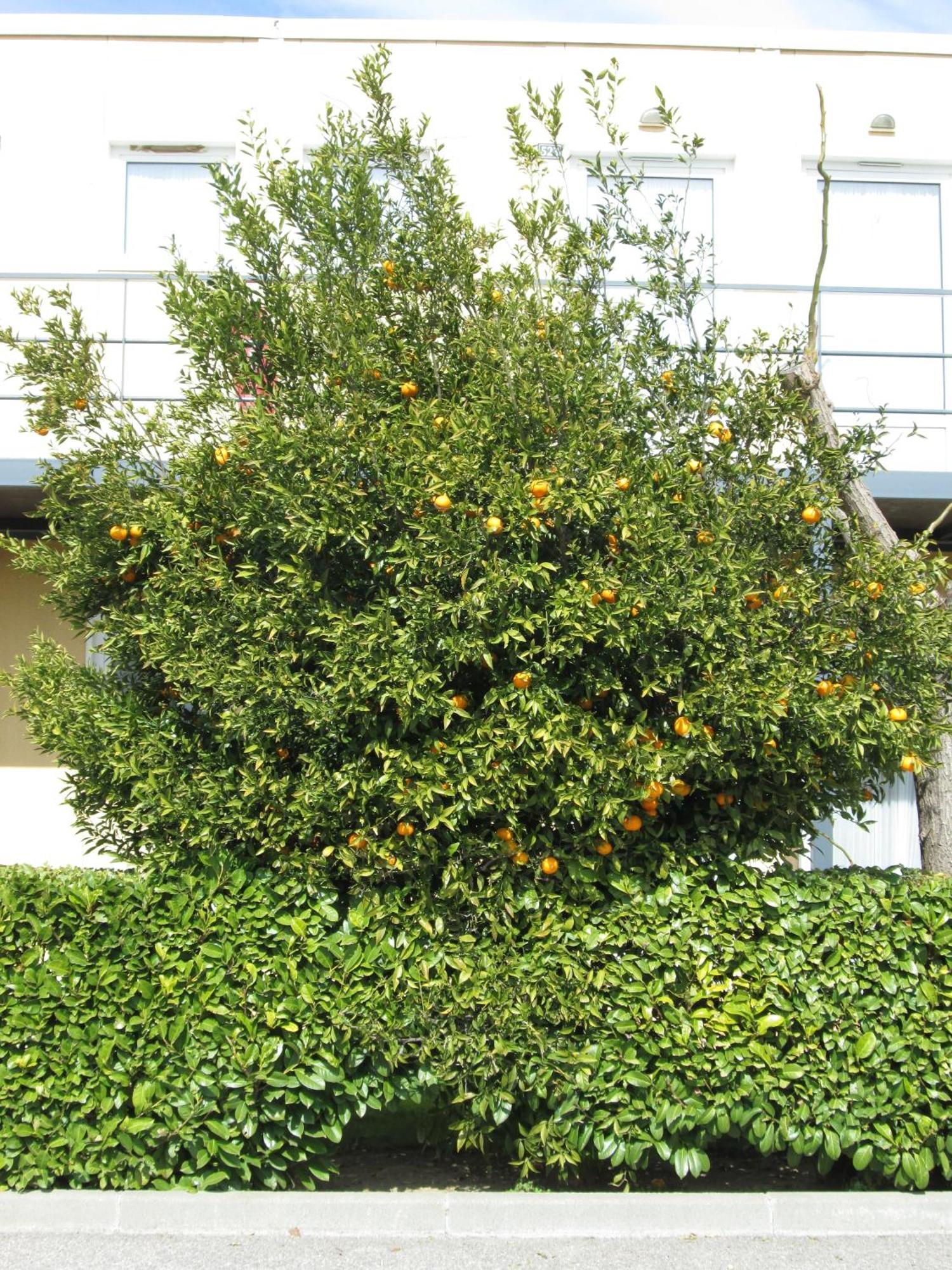 Hotel Ariane Istres Exterior foto